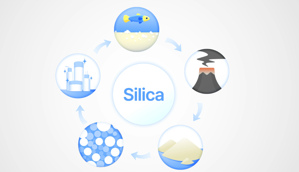 From the Earth, Of the Earth, To the Earth: Journey of Sustainable Silica