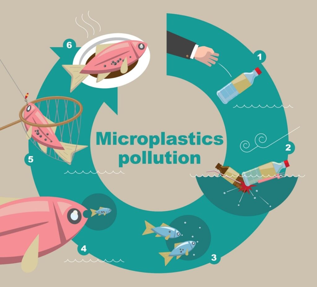 Formulations with Micro Plastic Bead Replacements