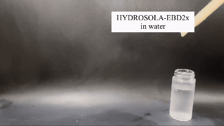 Spray Organic UV Filters as Light as a Fine Mist — HYDROSOLA-EBD2X Makes High-Load UV Filters Possible in a Sun Mist